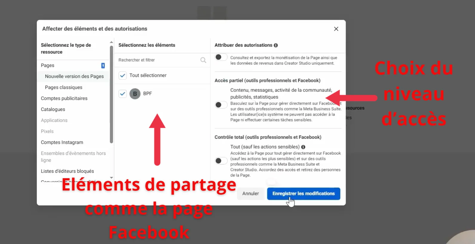 Sélection de la page Facebook et choix du niveau d'accès lors du partage avec un partenaire