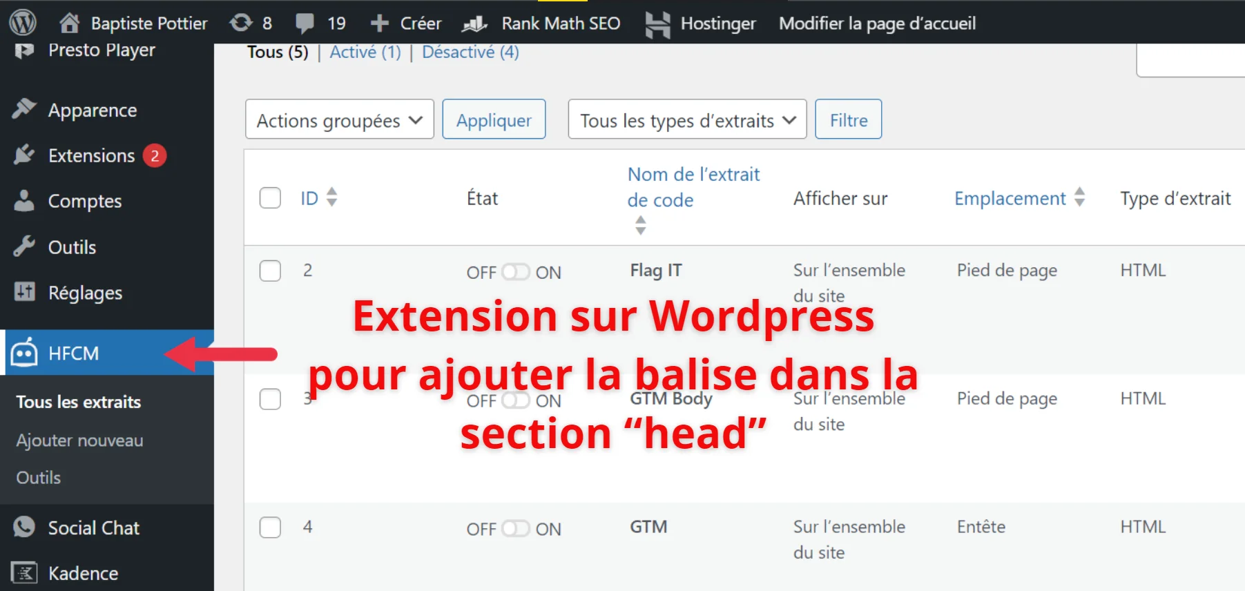 Extension HFCM Header Footer Code Manager dans WordPress pour injecter du code dans le head